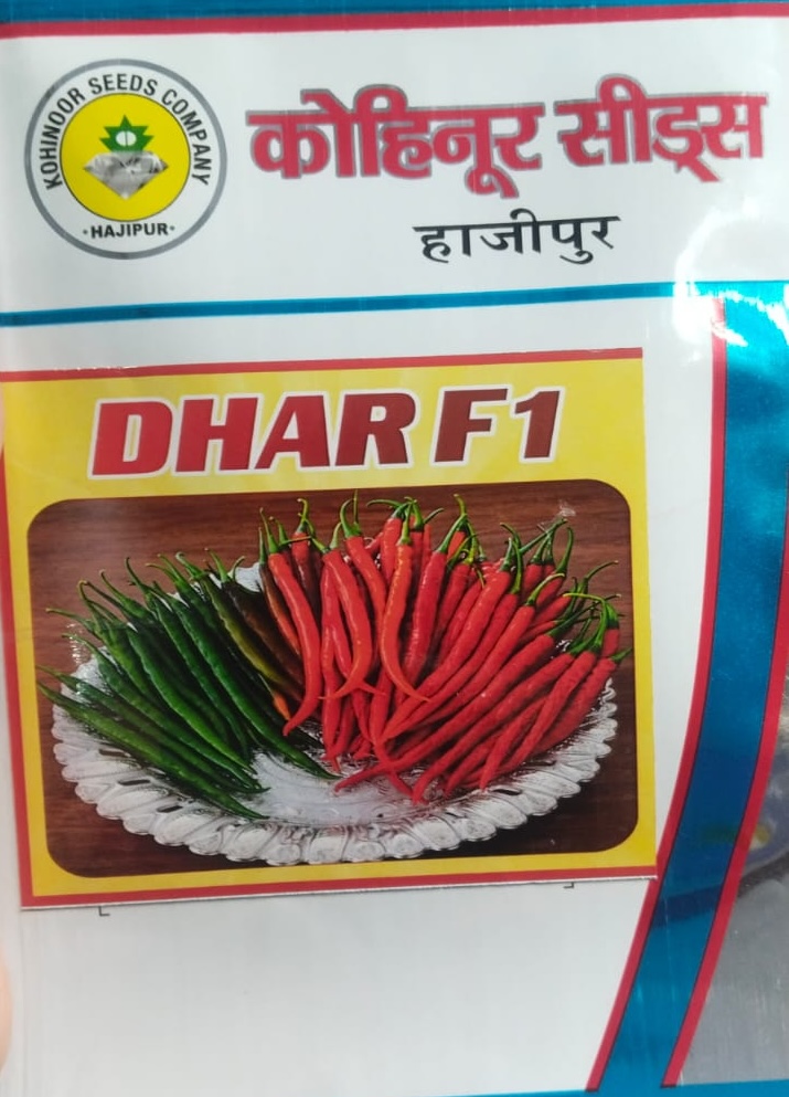 Dhar F1 Chilli