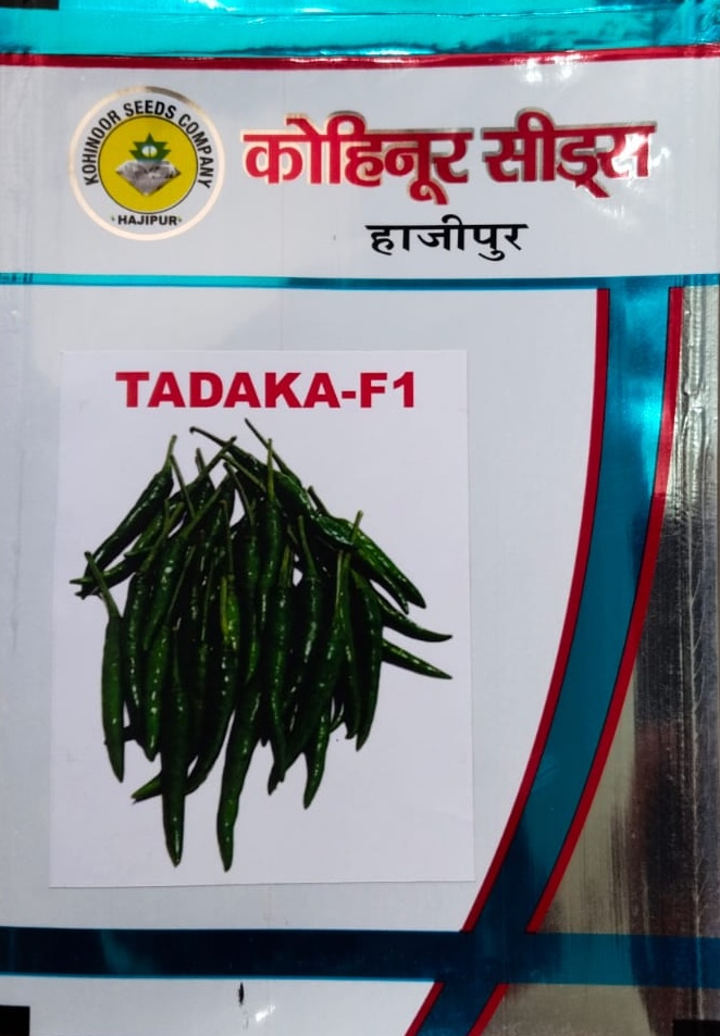 Tadaka F1 Chilli